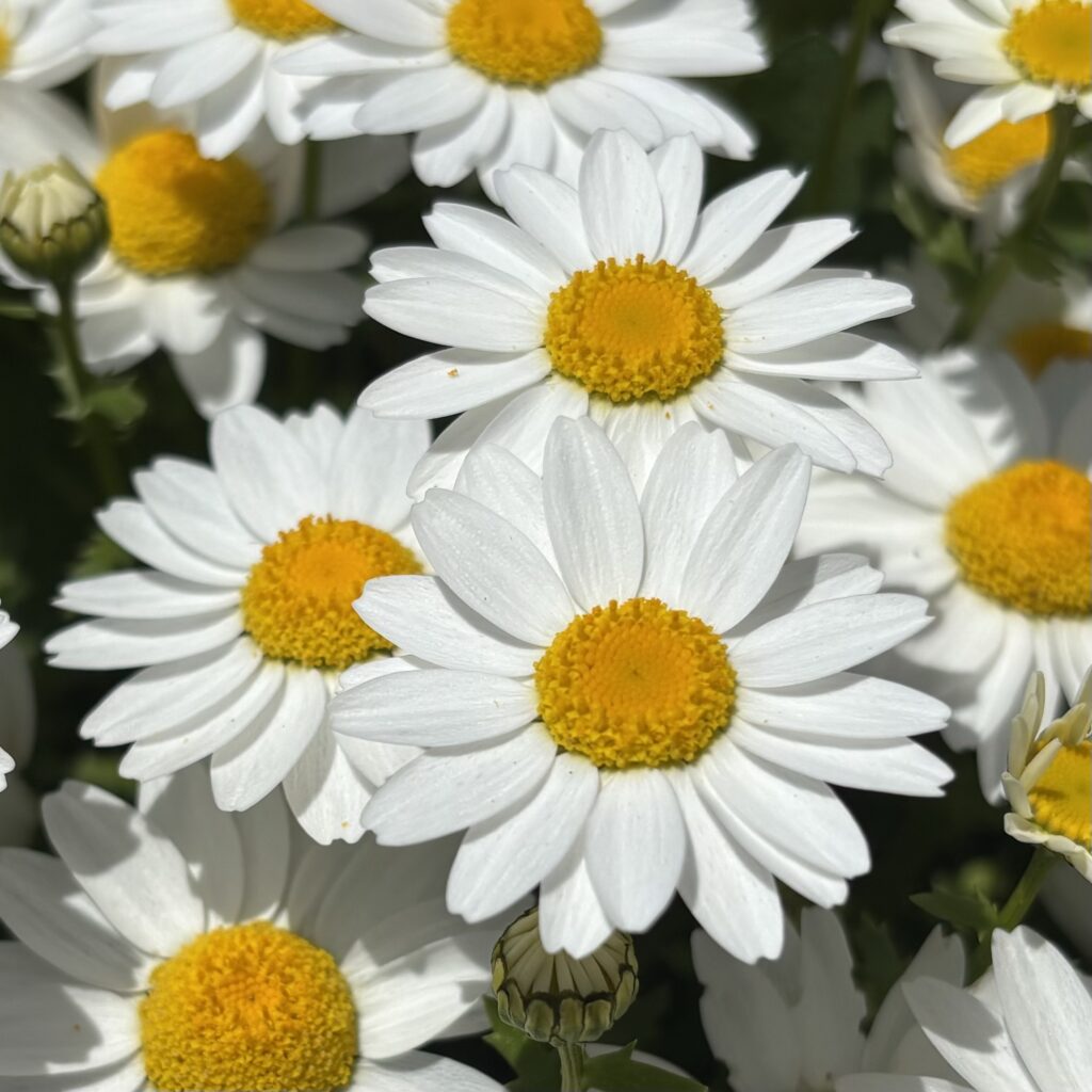 プロフィール写真